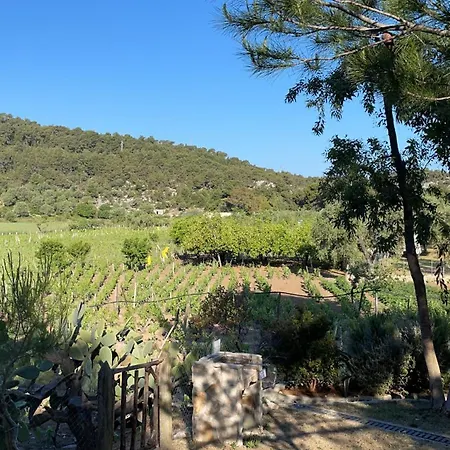 Camping Village San Michele